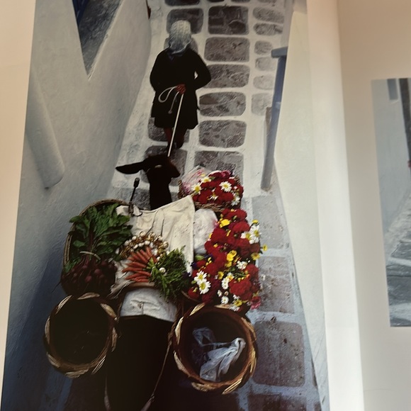 “Cats In The Sun” Pictorial Book by Hans Silvester - Picture 4 of 12